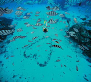CG.A_snorkeling_19216-hi