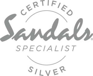 CSS_SILVER logo