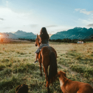CM Charveloix Horse riding